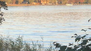 FeWo Erholsame Auszeit - Foto 4