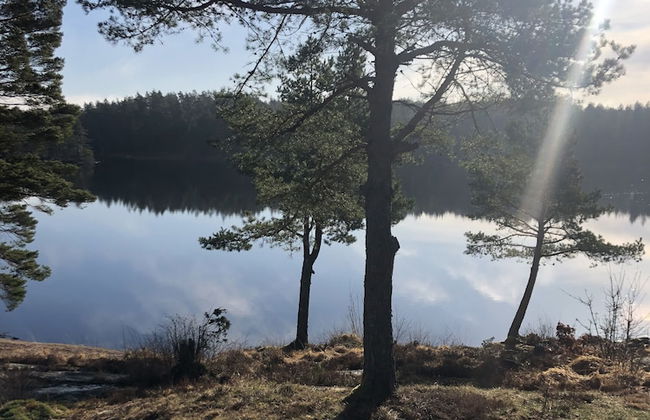 Björsjödal - Foto 44