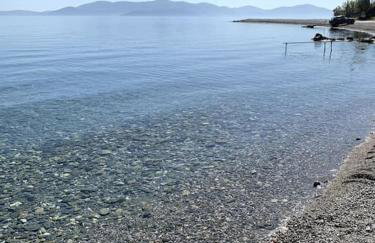 Nerinalia Residence - Foto 55