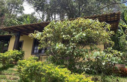 Vale das Estrelas - vale das videiras - araras - Foto 9