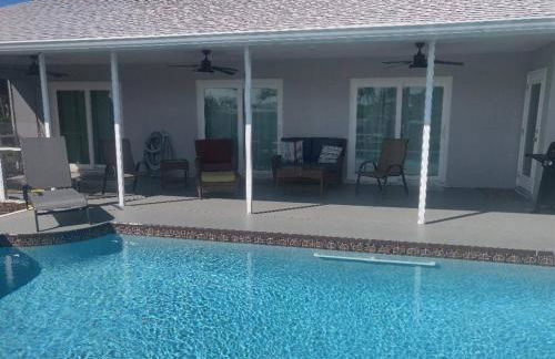 The Playful Pelican - Foto 15