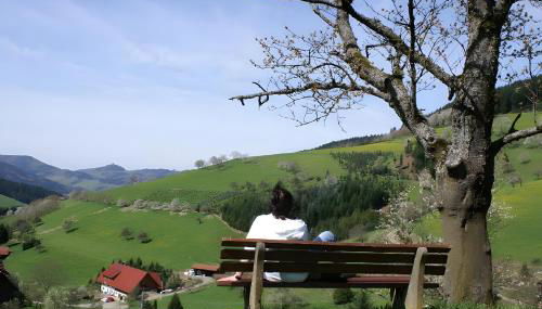 Unterer Gurethshof - Foto 4