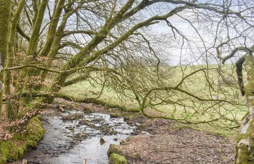 Chy An Dour - Foto 19