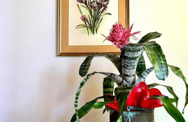 Cascina Galarin - Foto 15