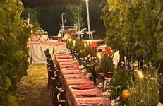 Agriturismo a casa di Susanna - Foto 2