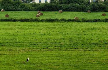 Leśna Przystań Rumia - obok Gdyni i Aquaparku Reda - Foto 58