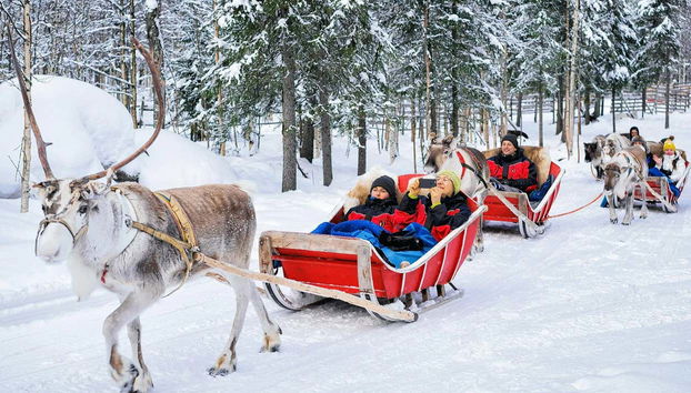 Profitez de la balade en traîneau à rennes