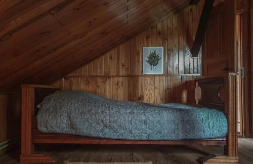 Kałamunka - Foto 44