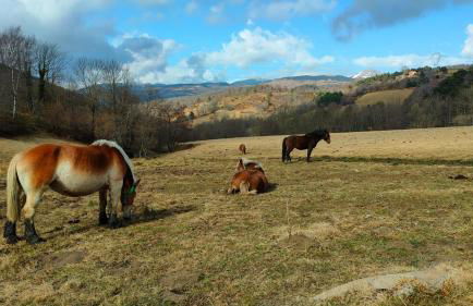 Apartaments Cel i Fusta - Photo 13