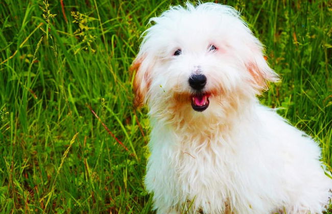 Pretty Holiday Home in Suhl Right Next to the Forest - Foto 35