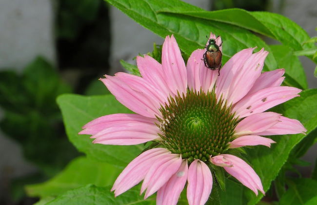 Roadhaven 1830 - Foto 65