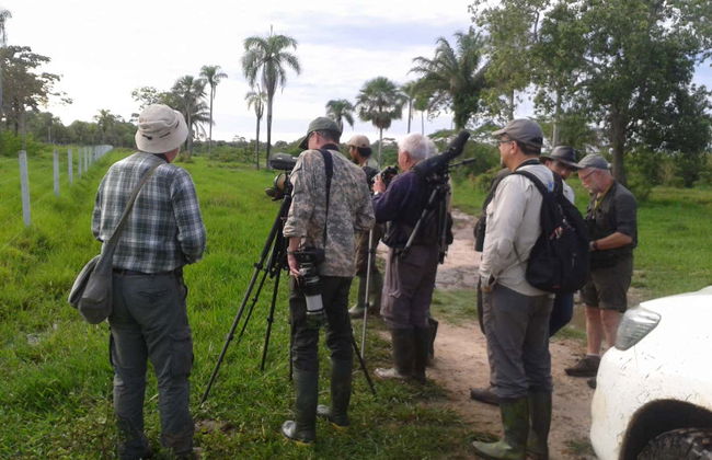 Gran Mojos Birdwatching Activity - Foto 5