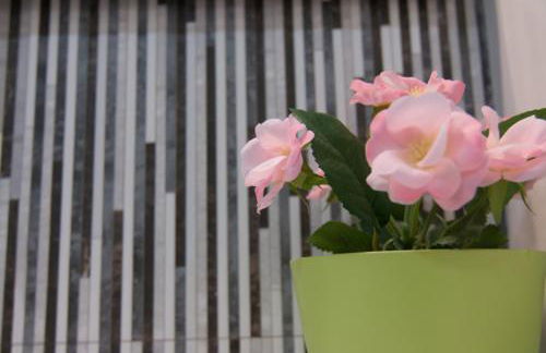 Apartament Bagà - Foto 46