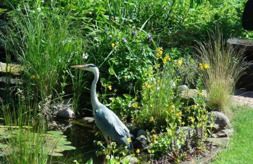 Zwei Ferienwohnungen Ankerpatz 70 qm mit Loggia & Puppenstube 50 qm mit Gartenterrasse in Hagenburg nähe Steinhuder Meer - Foto 26