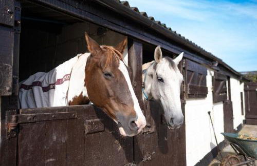 Marsh Farm - Photo 10