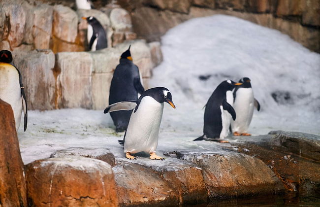 HoMa HomeStay Hotel by Olympic Stadium Montreal (Auberge/Hostel) - Foto 58