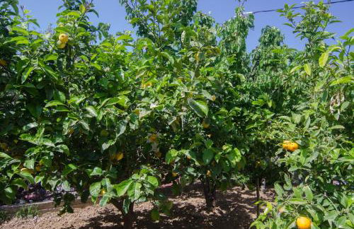 Marina's House - Photo 18