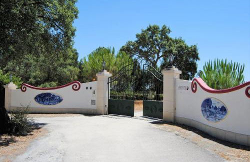 Monte Calmaria by Estilo Lusitano, with private pool and Jacuzzi - Foto 51