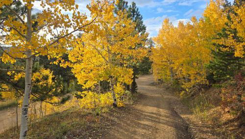 Moose Manor - Foto 4