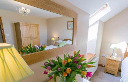 Stabal Penrhyn - Foto 33