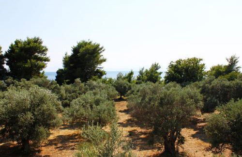 Sungate Beach - Photo 13