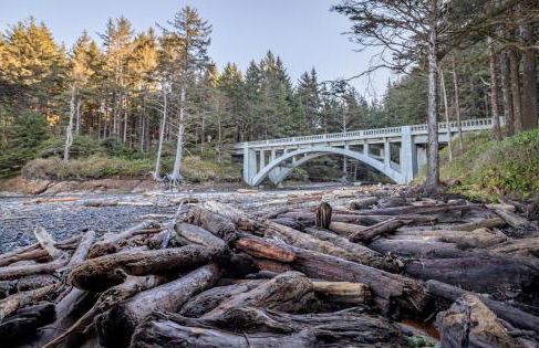 Nigh Tides - Foto 53