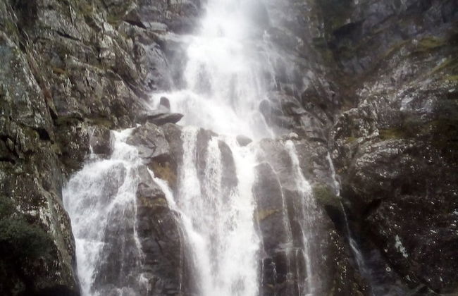 Apartamento Prunus Avium - Foto 25