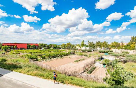 Biopark View Apartment - Foto 29