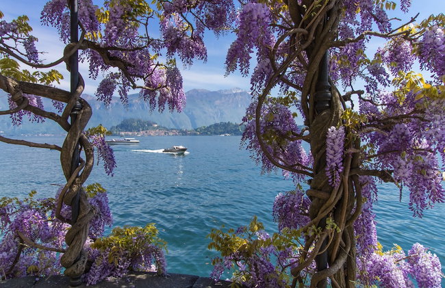 Isola Vista - Terrazzo - Photo 44