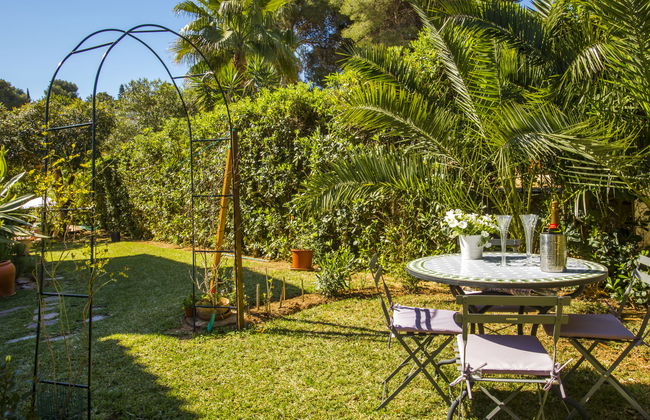 Mirlo Canta - Foto 29