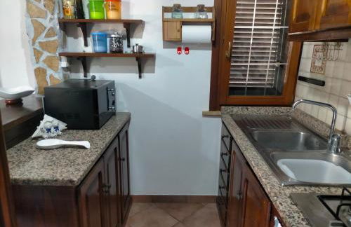 Il gelsomino - Foto 12