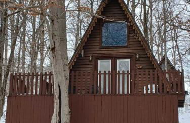 A-Frame Cabin #4 on Patoka Lake in Southern Indiana - Foto 4