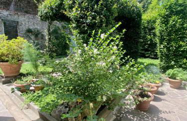 Florence Walled Garden - The Tom's Private Oasis - Foto 12