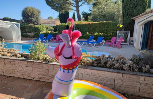 Les Bougainvillées de Camargue - Photo 49