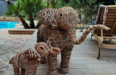 La Maison Du Soleil - Foto 49