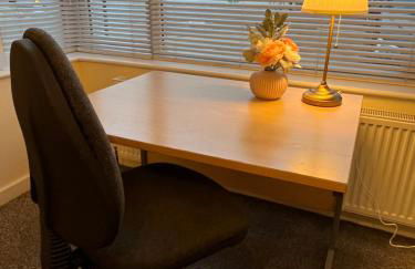 Fabulous & Spacious Garden Flat near Kings Cross St Pancras - Foto 20