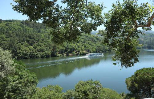 Quinta da Ribeirinha - Douro River - Foto 5