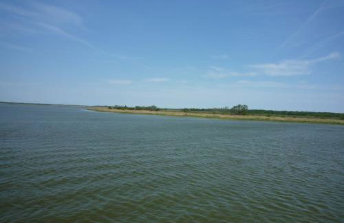 Zum alten Seemann - Foto 15