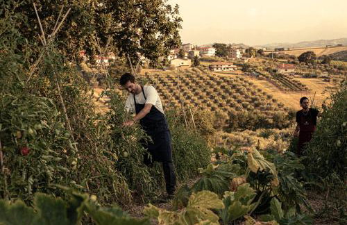 Agriturismo Emidio Pepe - Foto 12