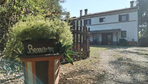 Boschetto sul mare - Foto 2