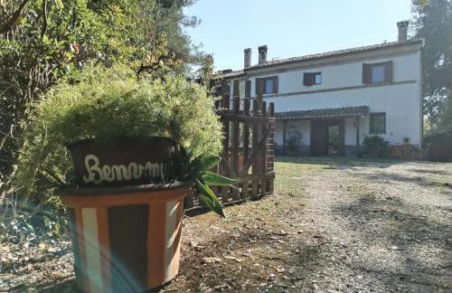 Boschetto sul mare - Foto 2