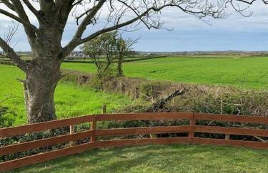 Coed Bach, Nr Rhosneigr, Anglesey (Pet Friendly) - Foto 18