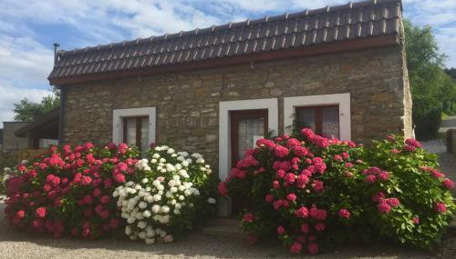 Les Hortensias, charmante petite maison en pierre - Foto 2