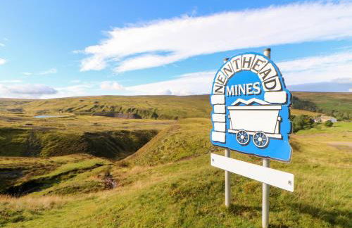 The Museum - Foto 34