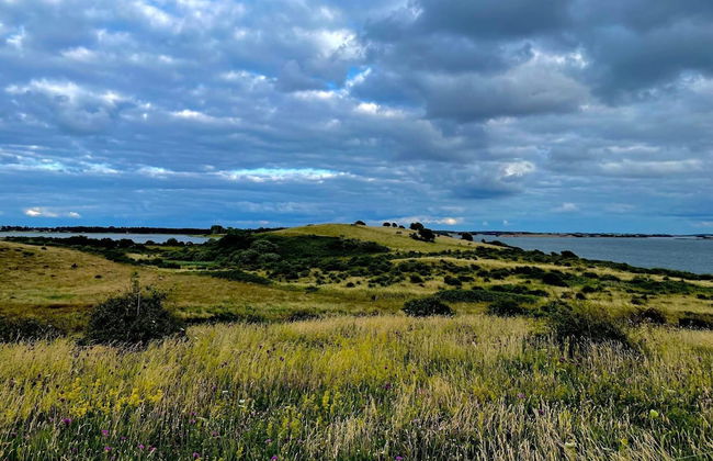 4 Person Holiday Home in Martofte-by Traum - Foto 6