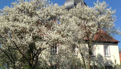Liebevolles, altes Schulhaus im Vintage Stil - Foto 2