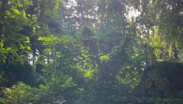 Ferienwohnung auf einem Resthof zentral gelegen mit viel Natur und Tieren - Foto 4