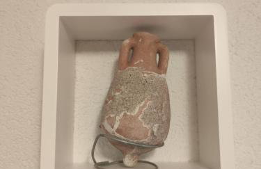 Margarita - Photo 41