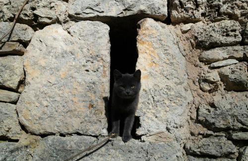 Gîte éco-responsable exceptionnel pour 6 ou 8 personnes secteur gorges du Tarn - Foto 22