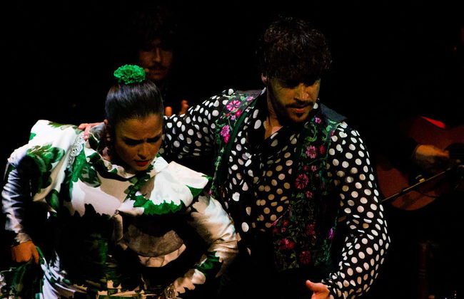 Espectáculo en el Teatro Flamenco Triana - Foto 4